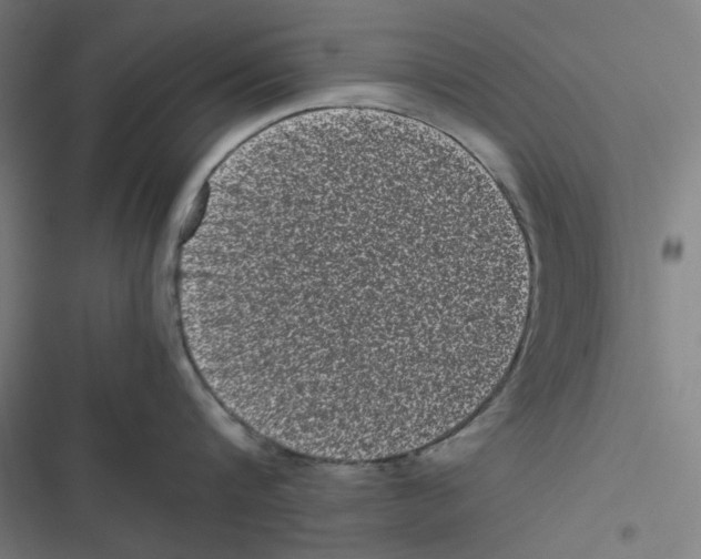 X0000116600816201001081148