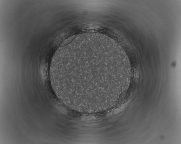 X0000116600818201001081147