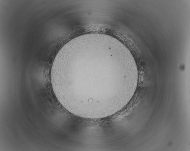 X0000116600820201001081147