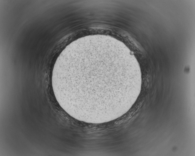 X0000116600821201001081147