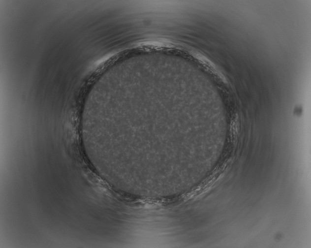 X0000116600822201001081147