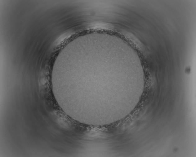 X0000116600824201001081148