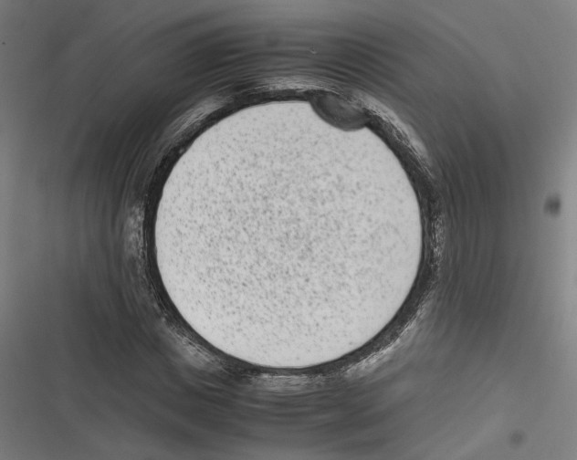 X0000116600825201001081148
