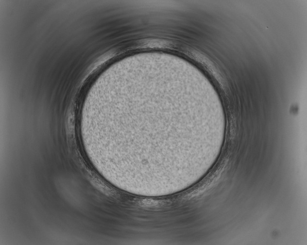 X0000116600827201001081148