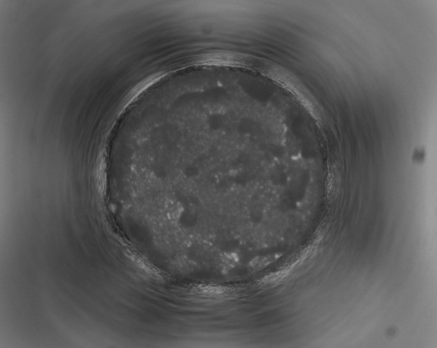 X0000116600829201001081148
