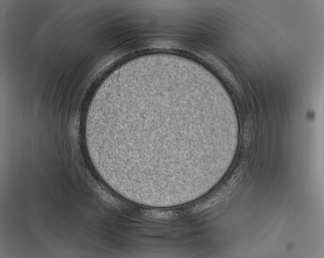 X0000116600831201001081148