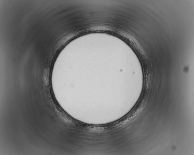 X0000116600833201001081148