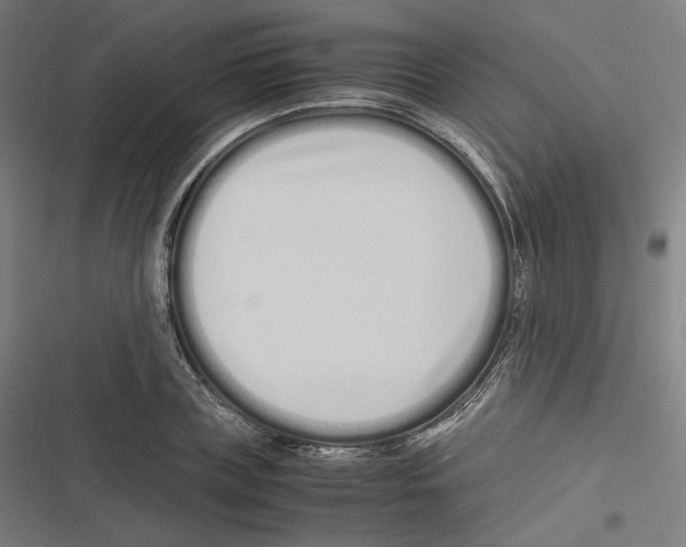 X0000116600835201001081148