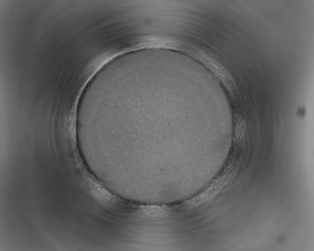 X0000116600836201001081148