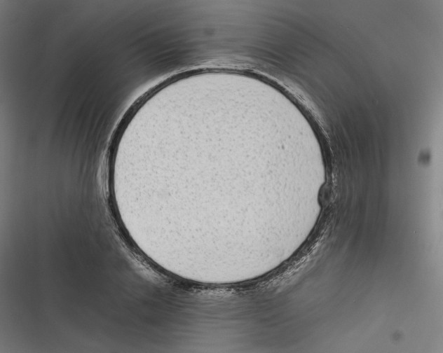 X0000116600838201001081148