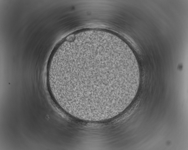 X0000116600840201001081148