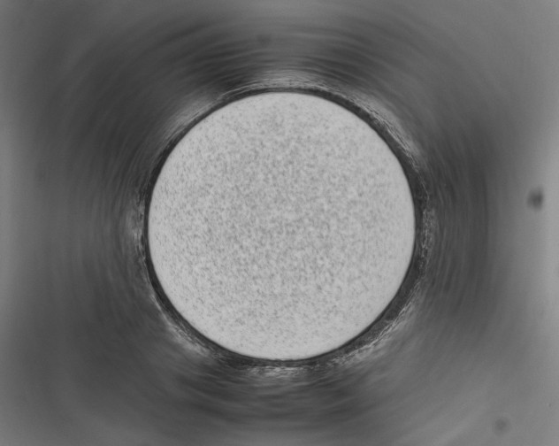 X0000116600841201001081148