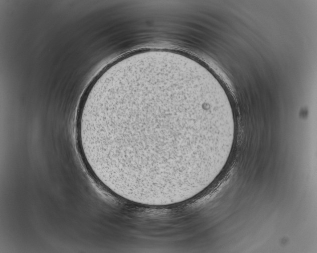 X0000116600845201001081148