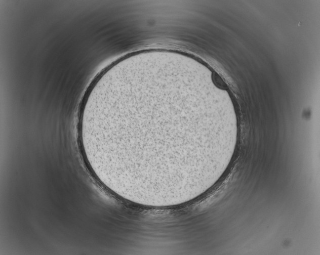 X0000116600846201001081148