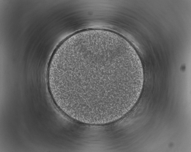 X0000116600848201001081148