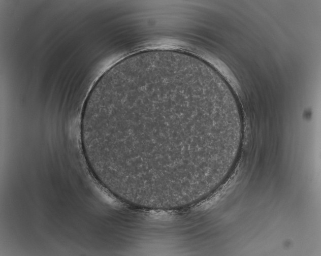 X0000116600850201001081148