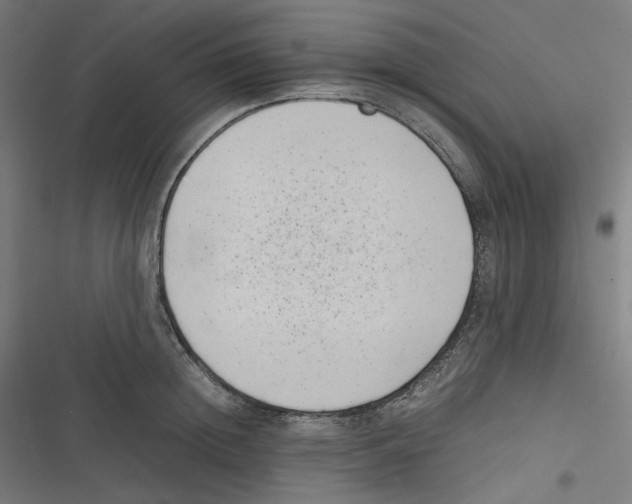 X0000116600852201001081148