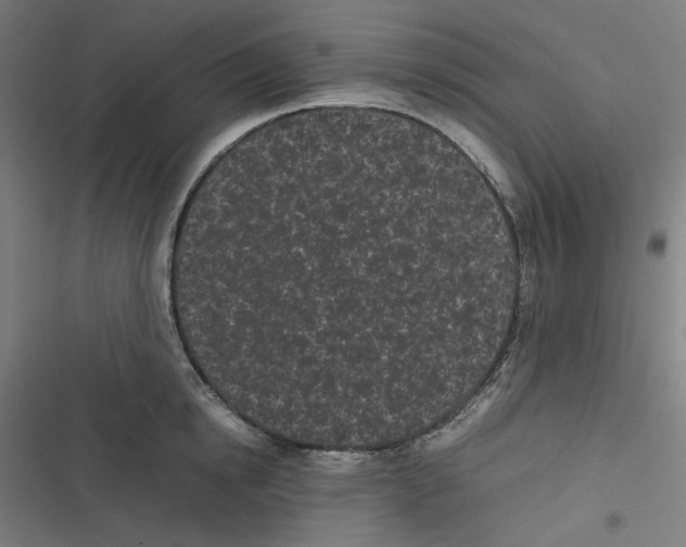 X0000116600854201001081148