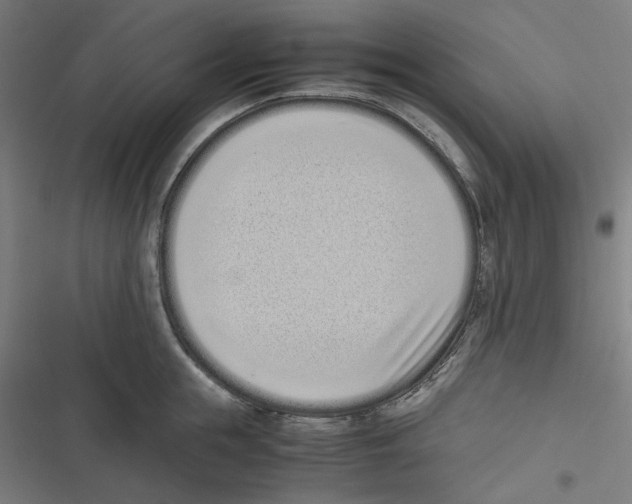 X0000116600855201001081148