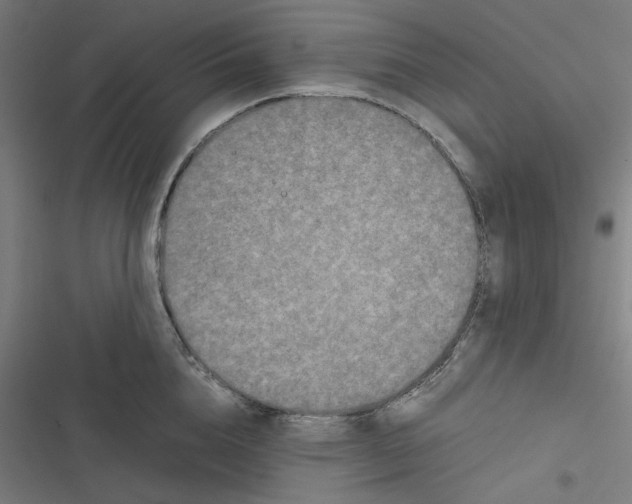 X0000116600856201001081148