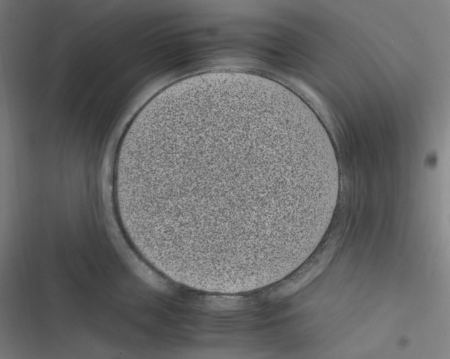 X0000116600859201001081148