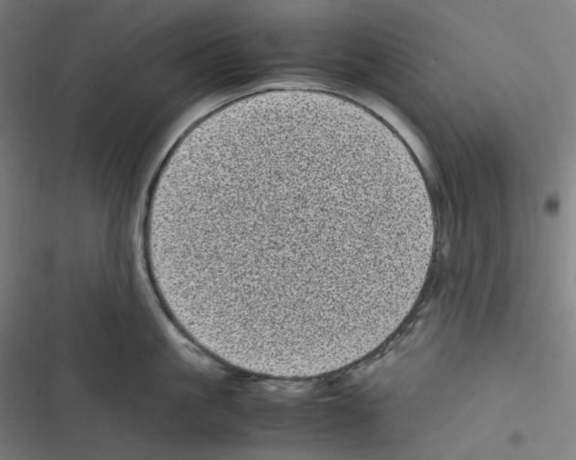 X0000116600861201001081148