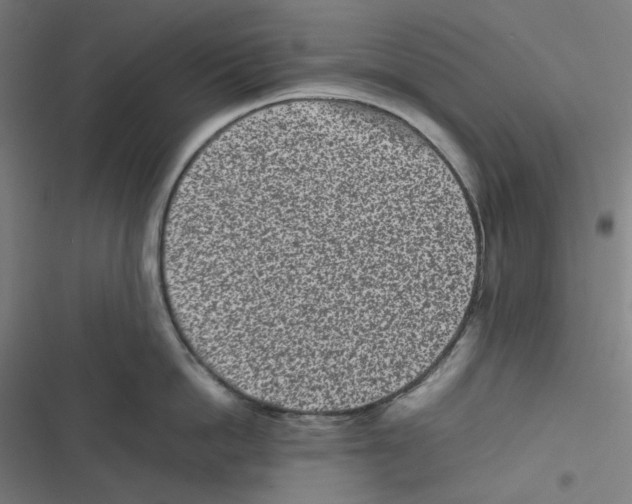 X0000116600862201001081148