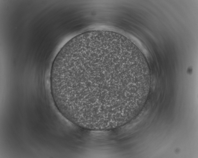 X0000116600863201001081148