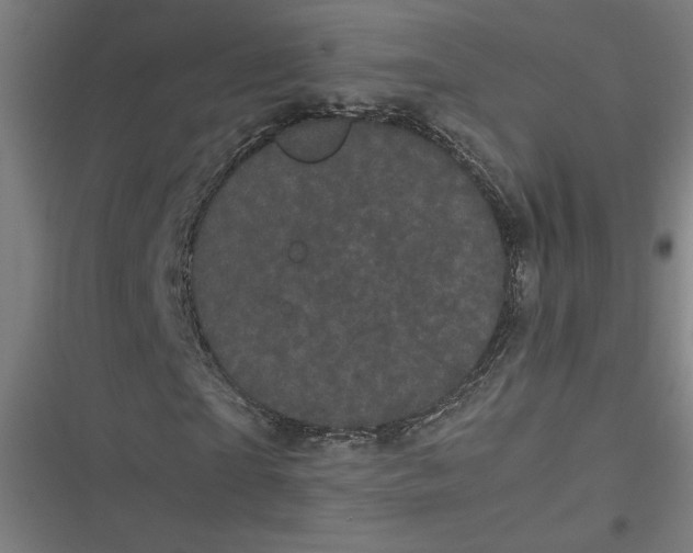 X0000116600865201001081147
