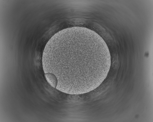 X0000116600866201001081147
