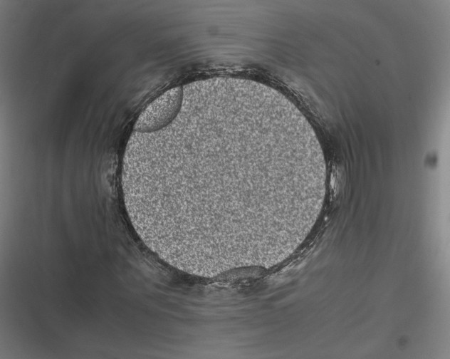 X0000116600867201001081147
