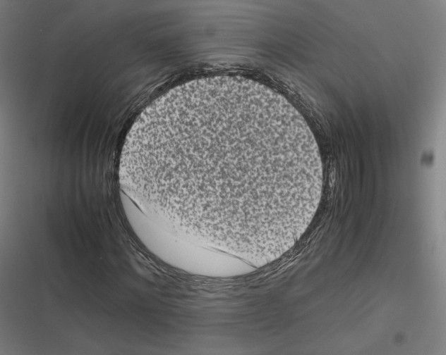 X0000116600868201001081147