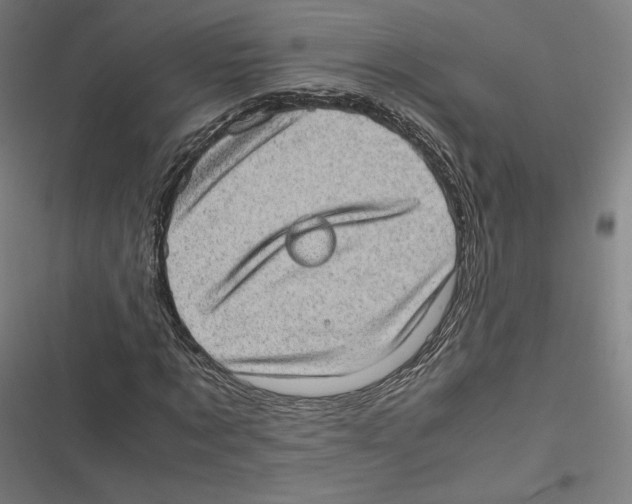 X0000116600869201001081147