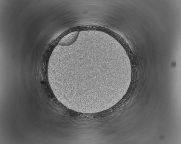 X0000116600871201001081147