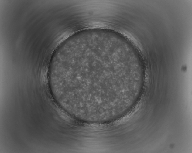X0000116600873201001081147