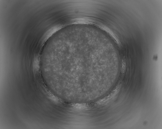 X0000116600874201001081147