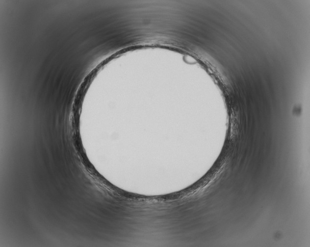 X0000116600876201001081147