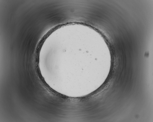 X0000116600878201001081147