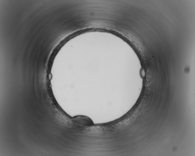 X0000116600880201001081147