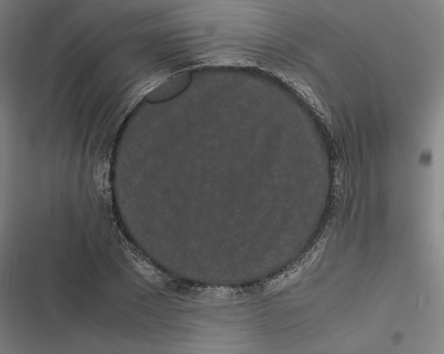 X0000116600881201001081147