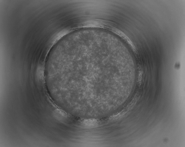 X0000116600882201001081147