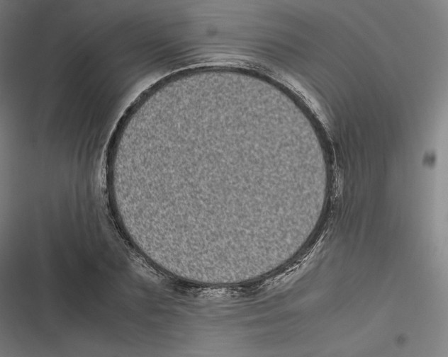 X0000116600883201001081147