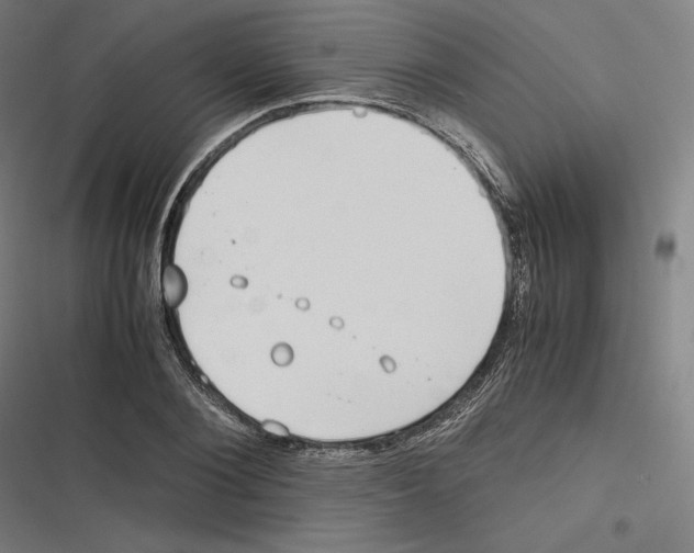 X0000116600884201001081147