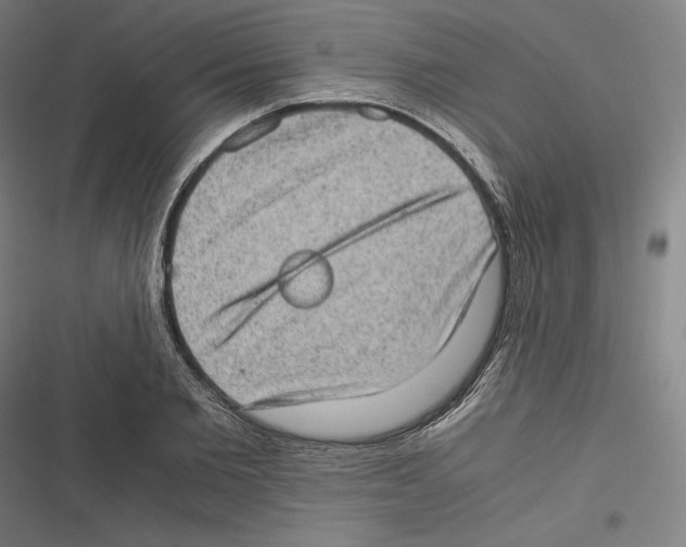 X0000116600885201001081147