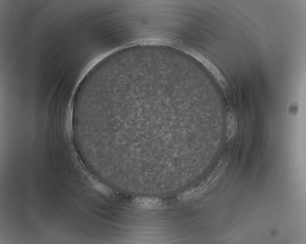 X0000116600886201001081147