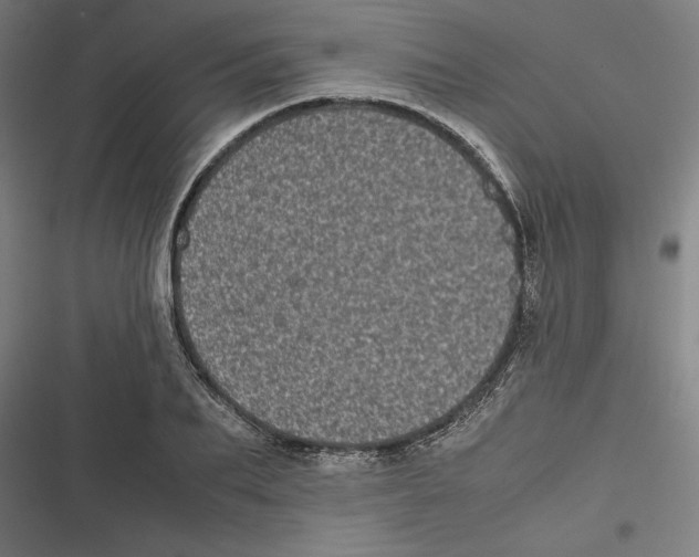 X0000116600887201001081147