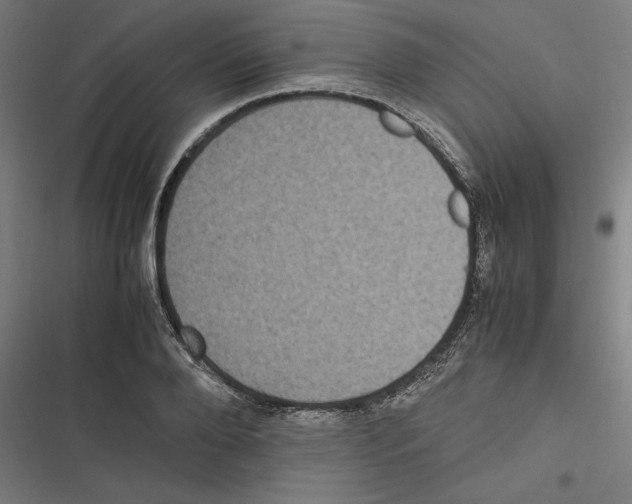 X0000116600888201001081147