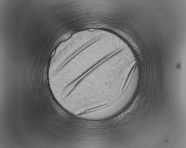 X0000116600889201001081147