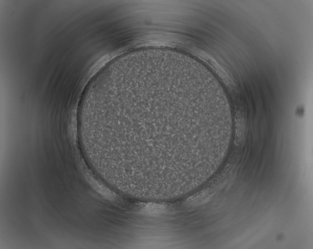 X0000116600890201001081147