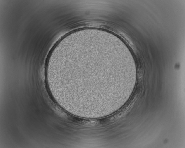 X0000116600891201001081147